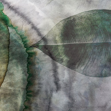 Silk Scarf - Natural Selection